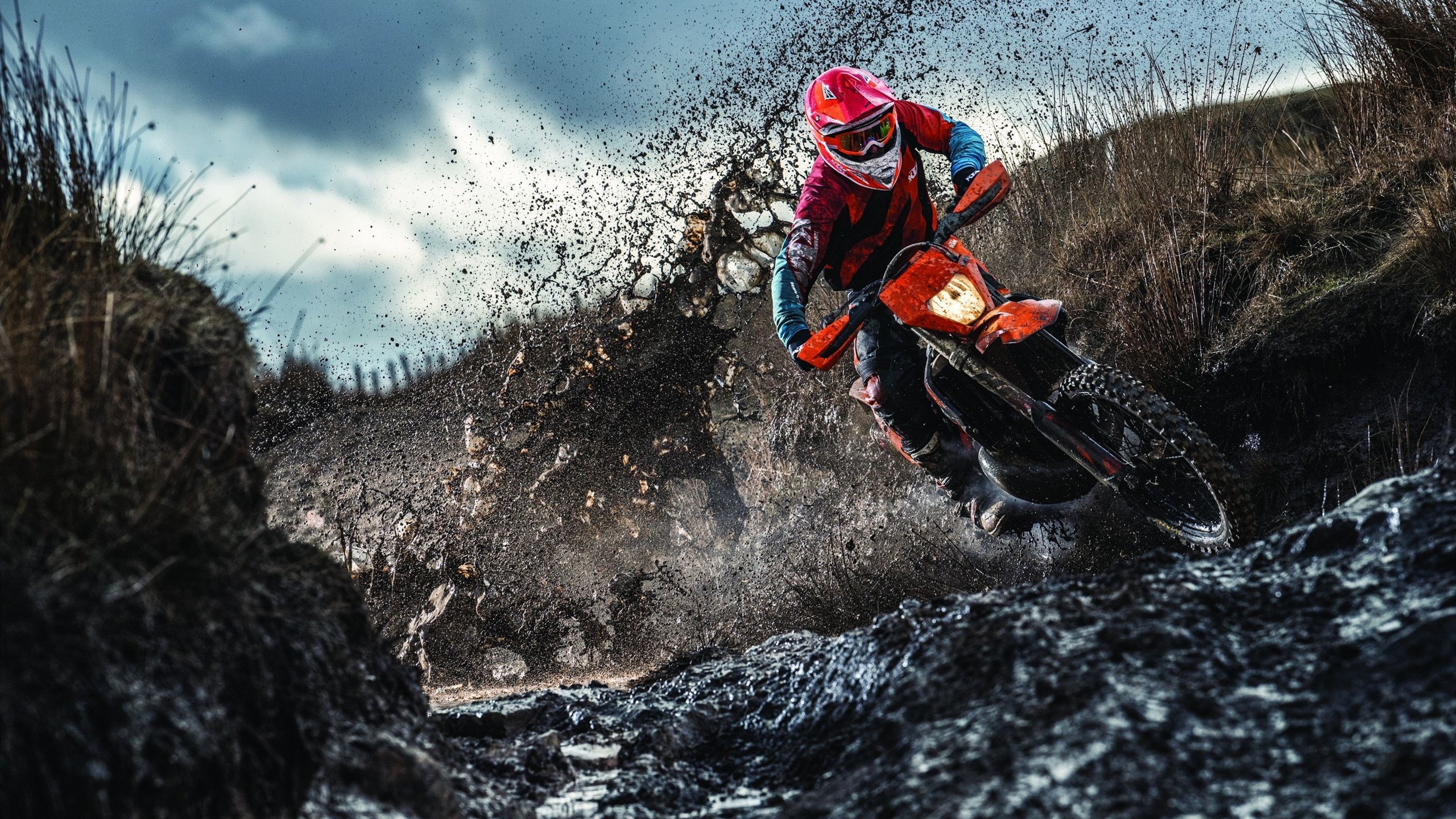 跨界传奇，辽宁篮下擒狼，保罗绿茵场加冕—体育世界的唯一性之夜